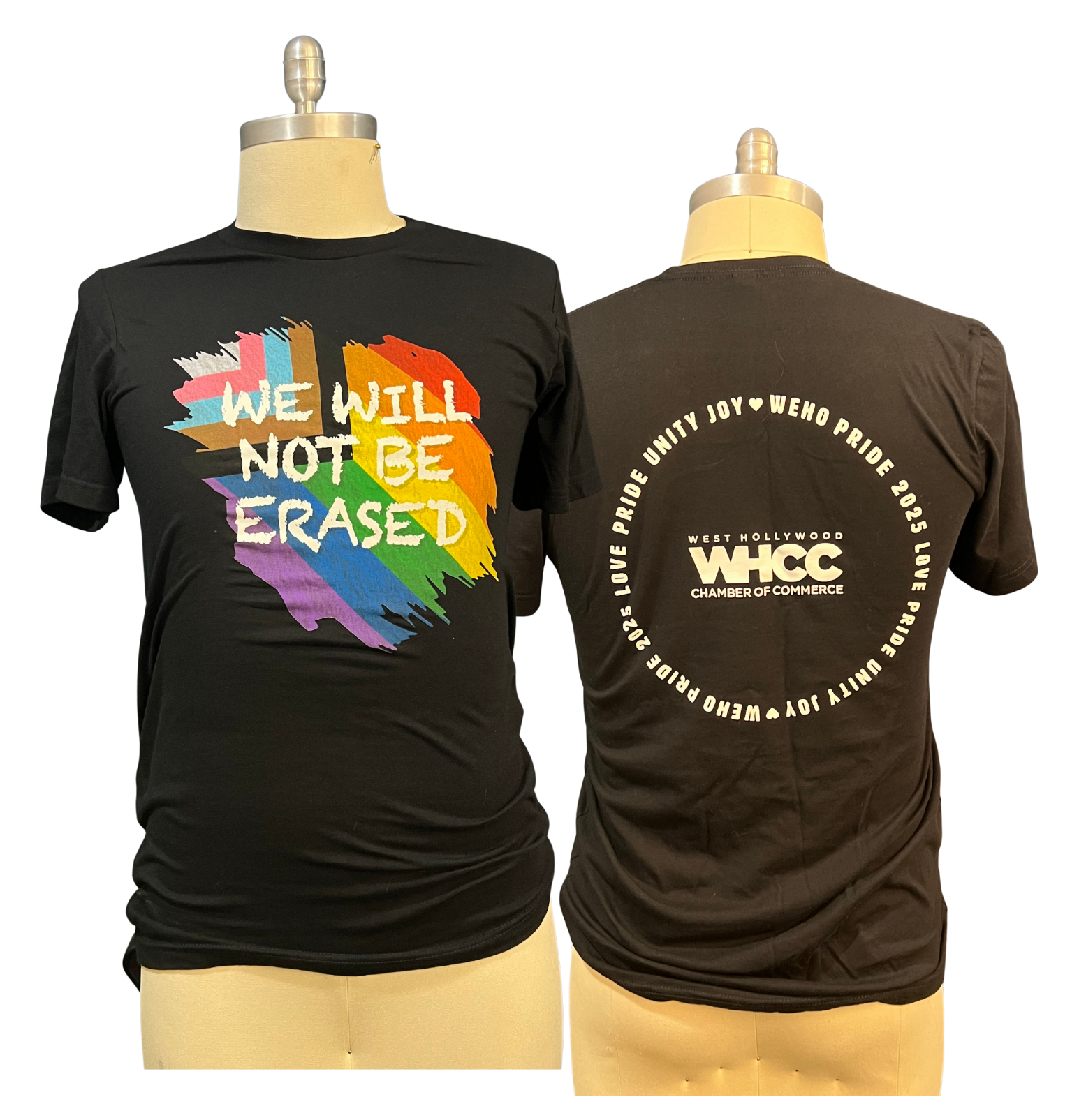We Will Not Be Erased Pride T-Shirt